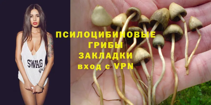 Галлюциногенные грибы Magic Shrooms  Нариманов 